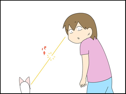イラスト_006