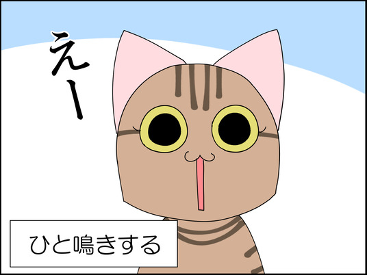 イラスト_003