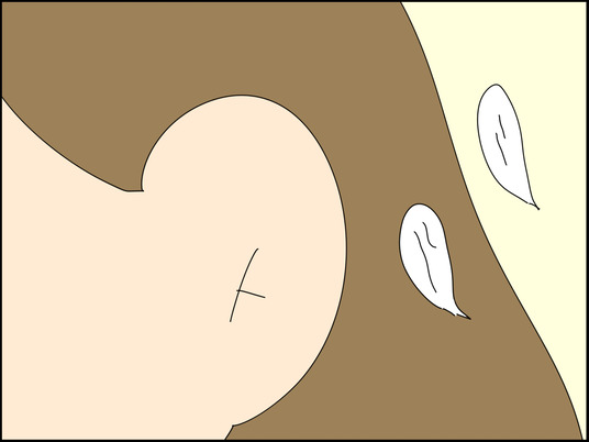 イラスト_003