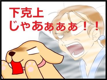 moroの家族と、ハンドメイドと。