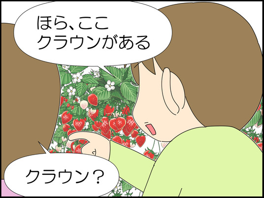 イラスト_017