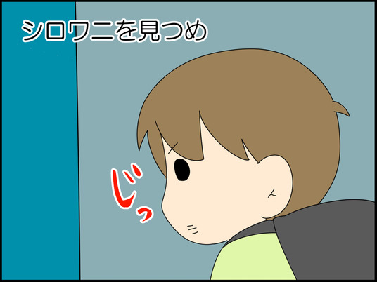 イラスト_009