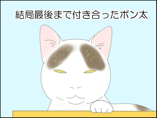 イラスト_013
