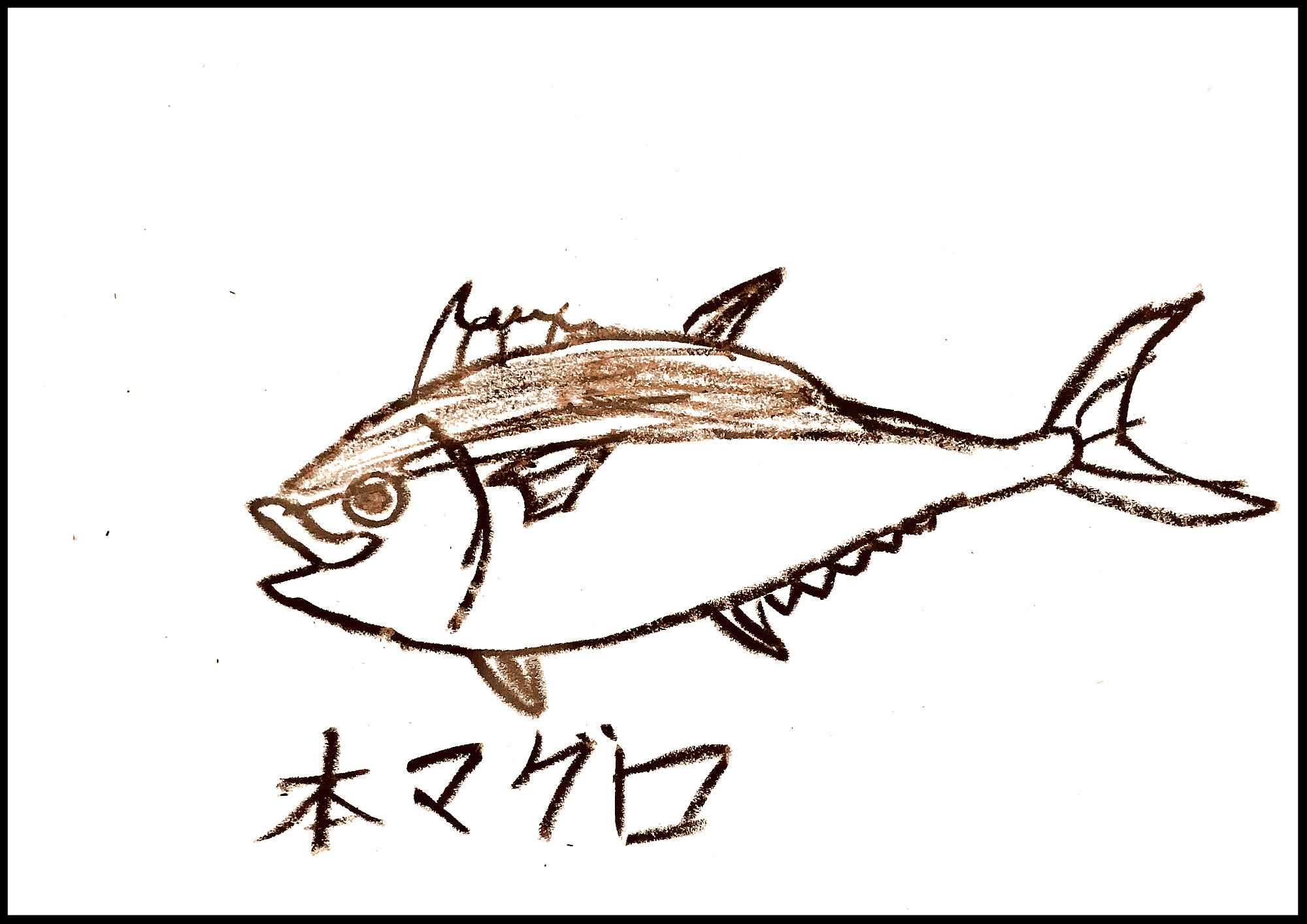 こもたろの魚コレクション Moroの家族と ハンドメイドと Moroオフィシャルブログ Powered By ライブドアブログ こもたろの魚コレクション Moroの家族と ハンドメイドと Moroオフィシャルブログ Powered By ライブドアブログ
