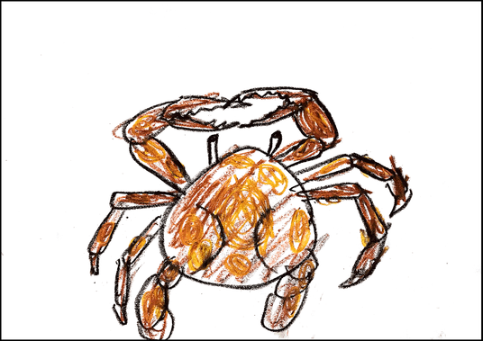 ５