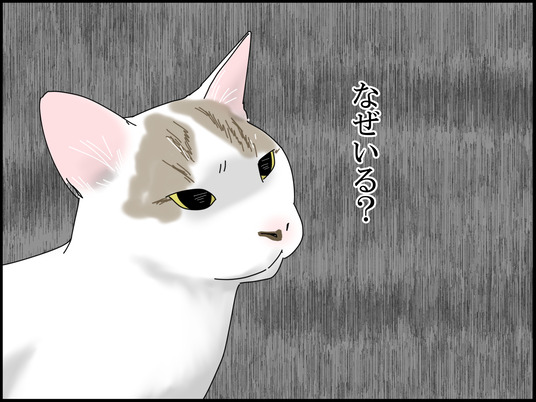 イラスト_009