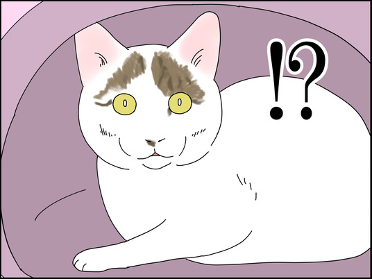 イラスト_016