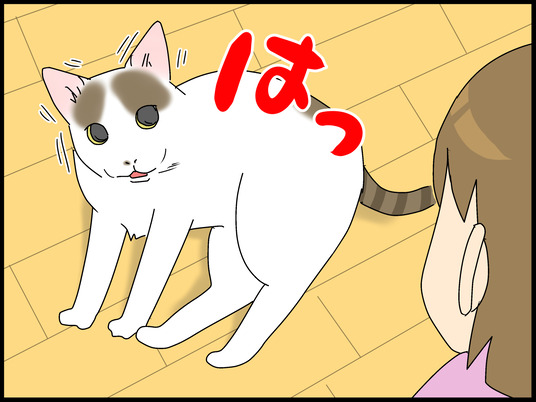 ブログ0009