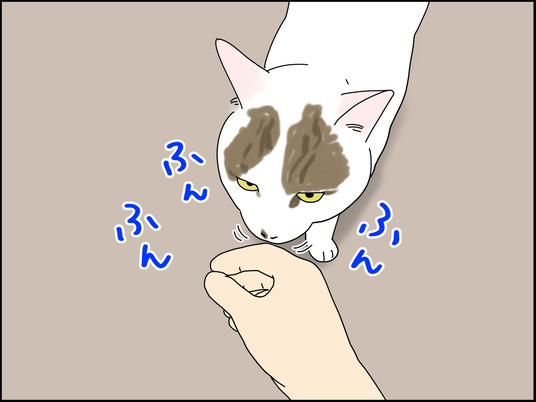 イラスト_025