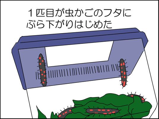 イラスト_002