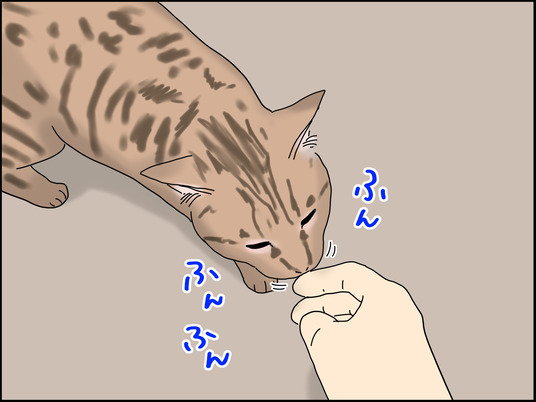 イラスト_021