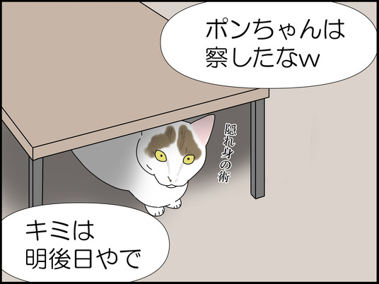 イラスト_010