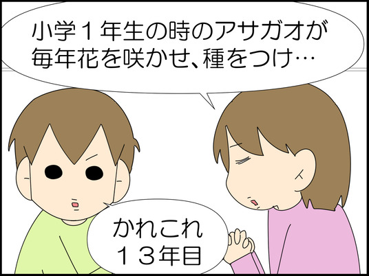 イラスト_007
