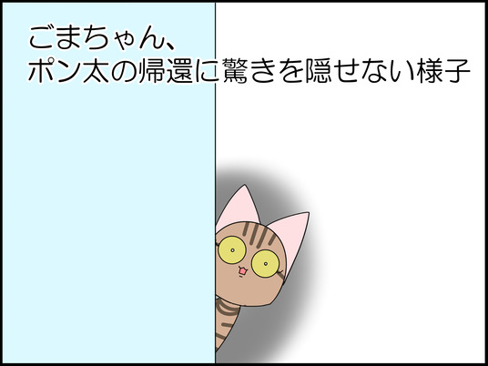 イラスト_025