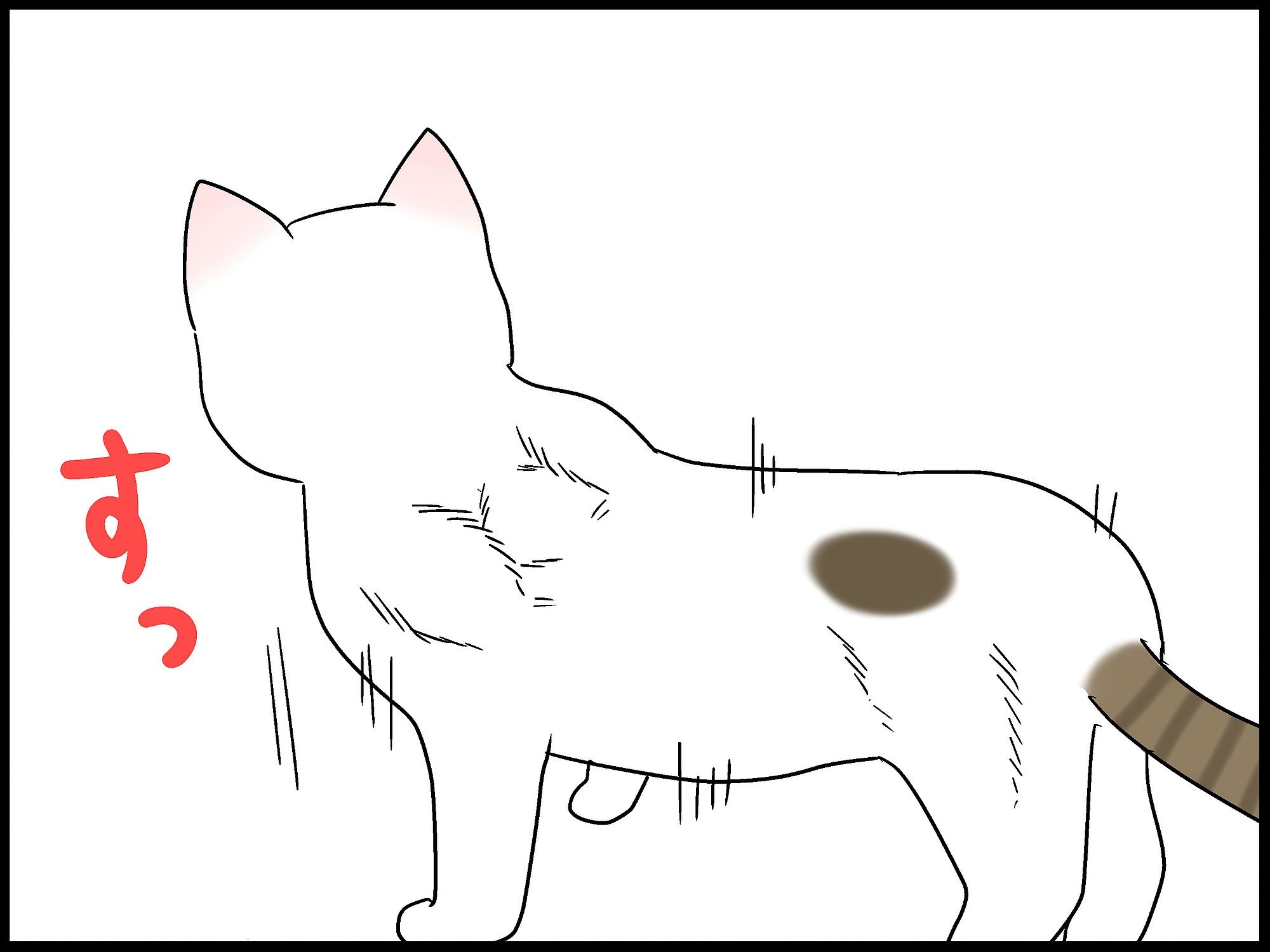 猫の筋肉が羨ましい。 : 「moroの家族と、ハンドメイドと。」moro