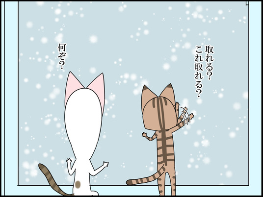 イラスト_008
