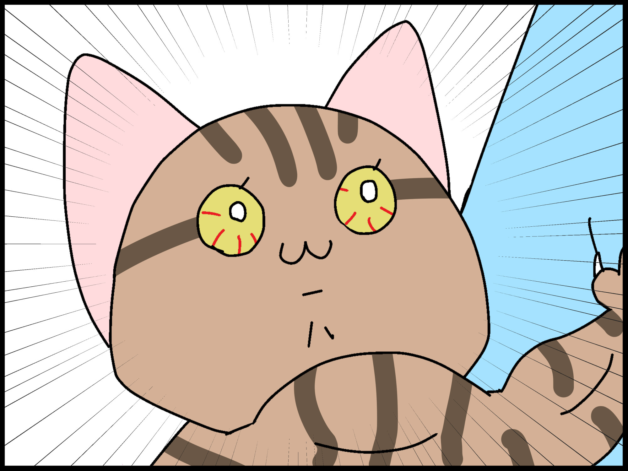 保護猫 この子 どうする 予期せぬ出来事 Moroの家族と ハンドメイドと Moroオフィシャルブログ Powered By ライブドアブログ