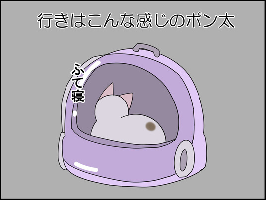 イラスト_002