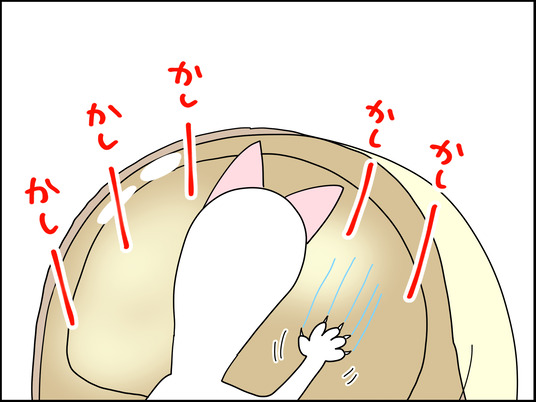 イラスト_008