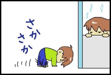 moroの家族と、ハンドメイドと。