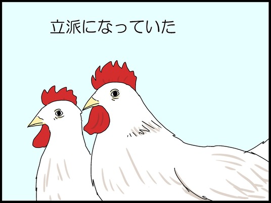 ブログ0012