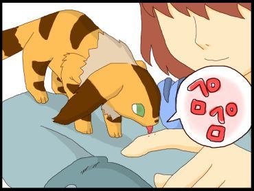 moroの家族と、ハンドメイドと。