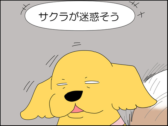 イラスト_004