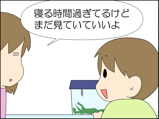 イラスト_006