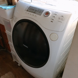 S__20398083
