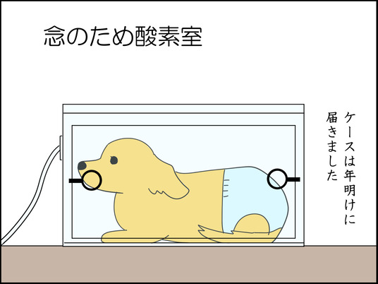 イラスト_068