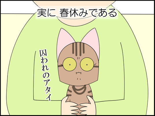 イラスト_003