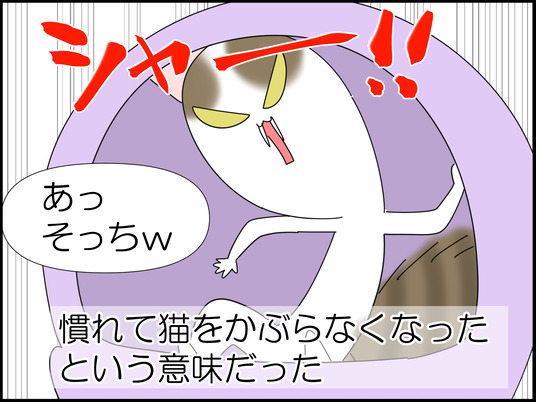 イラスト_010