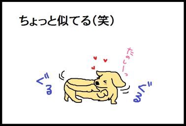 moroの家族と、ハンドメイドと。