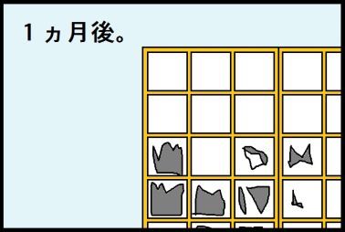 moroの家族と、ハンドメイドと。