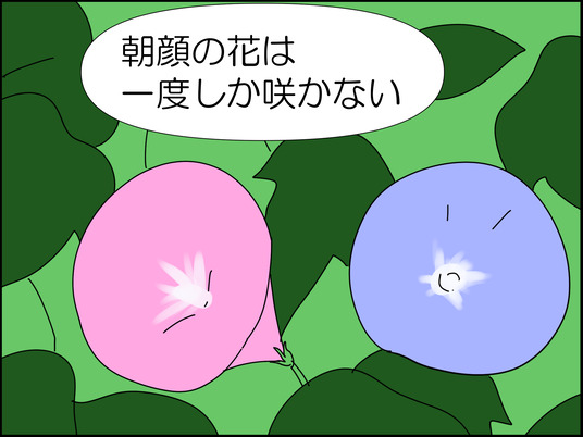 イラスト2_005