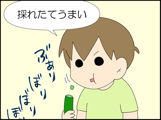 イラスト_009