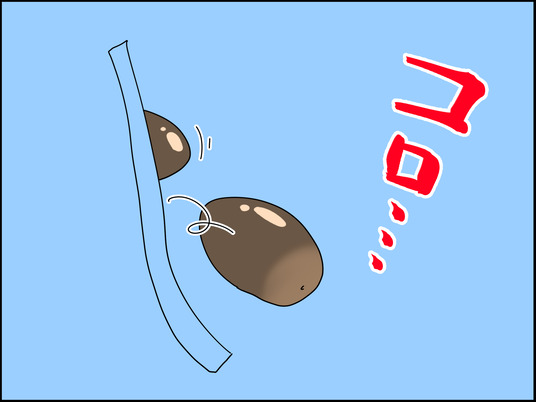 イラスト_003