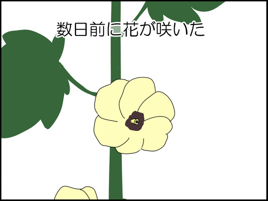 イラスト_002