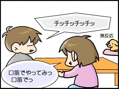 moroの家族と、ハンドメイドと。