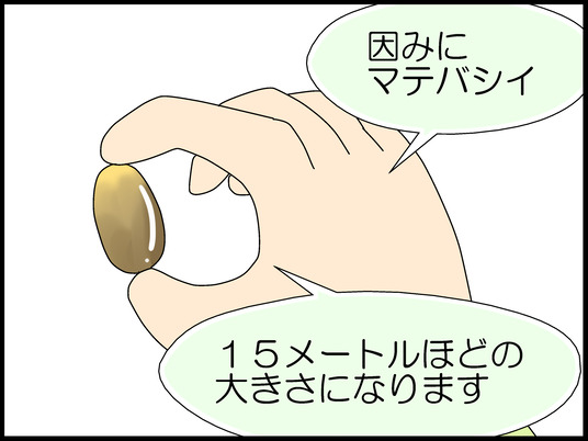 ブログ0009