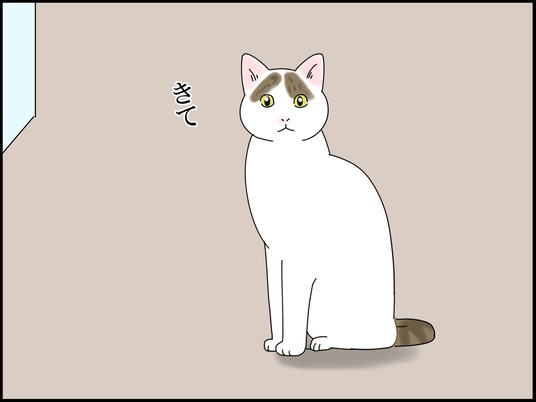 イラスト_004