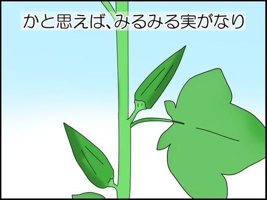 イラスト_003
