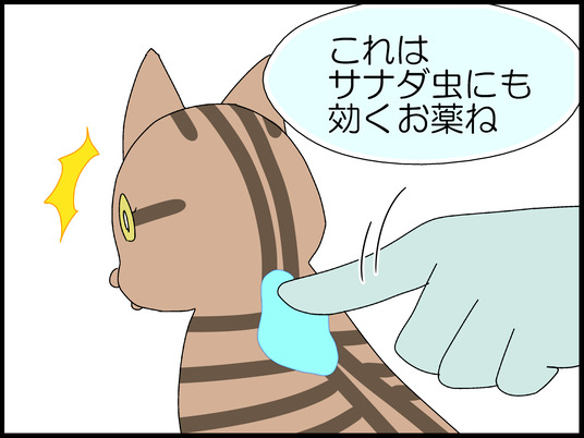 ブログ0009