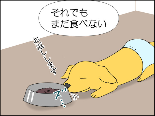 イラスト_069