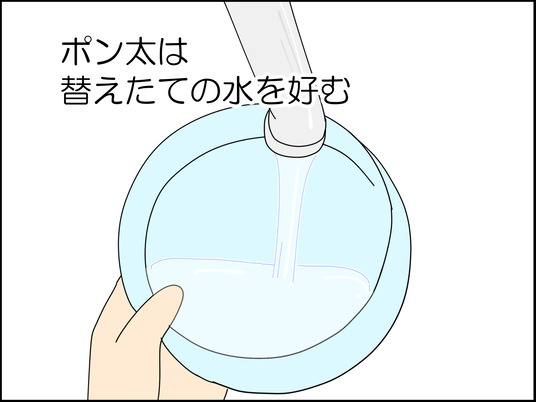 イラスト_017