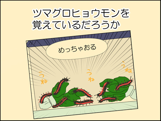 イラスト_001