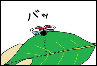 moroの家族と、ハンドメイドと。