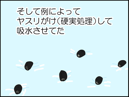イラスト_009