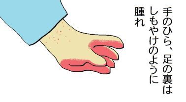 moroの家族と、ハンドメイドと。
