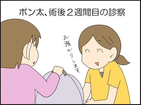 イラスト_055